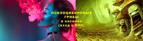 гашик Балахна