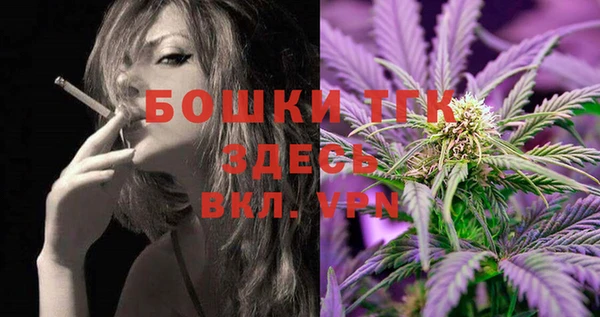 гашик Балахна