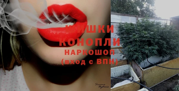 спайс Баксан