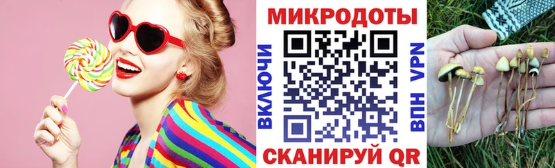 hydra маркетплейс  сайты даркнета клад  Псилоцибиновые грибы мухоморы  Нерюнгри 